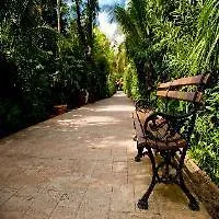 Hotel Catalonia Privileged Maroma 5*